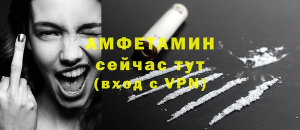 индика Медногорск