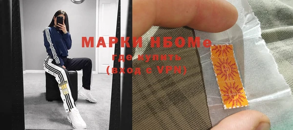 индика Медногорск