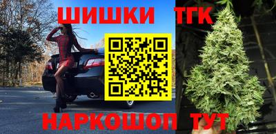 стафф Кимры