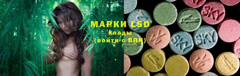 ЛСД экстази ecstasy  наркошоп  Нижнеудинск 