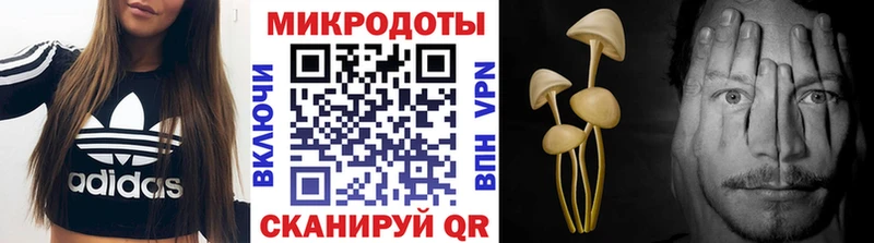 Галлюциногенные грибы Cubensis  Нижнеудинск 