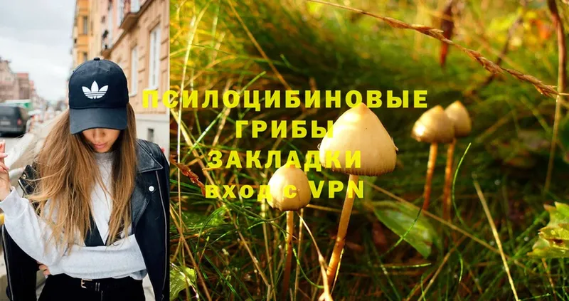 Псилоцибиновые грибы Magic Shrooms Нижнеудинск