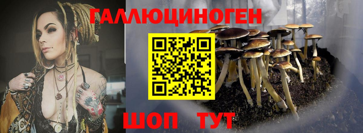 Галлюциногенные грибы Magic Shrooms Нижнеудинск