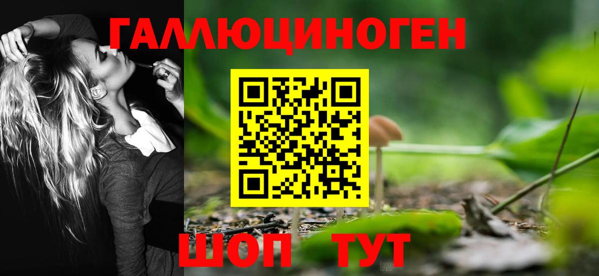 Псилоцибиновые грибы прущие грибы  Нижнеудинск 