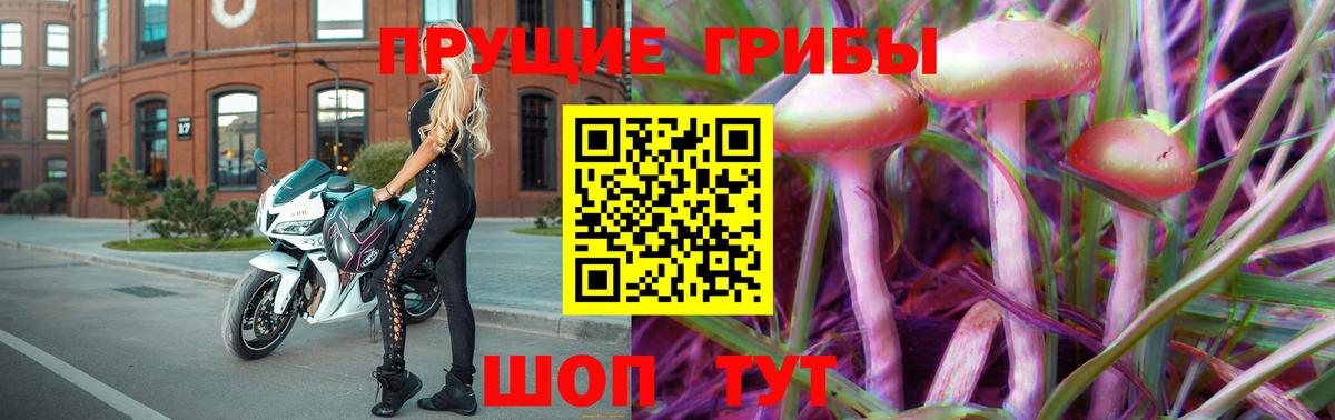 Псилоцибиновые грибы GOLDEN TEACHER Нижнеудинск